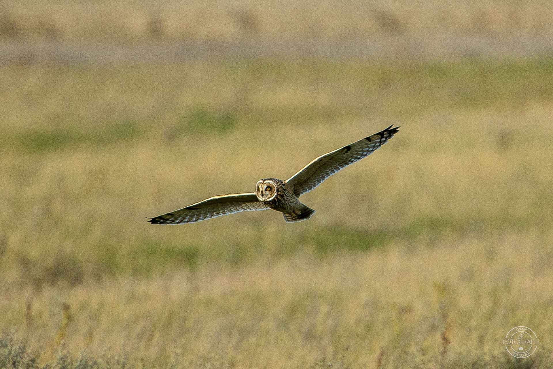 16 oktober 2022 165700 1R2A3101